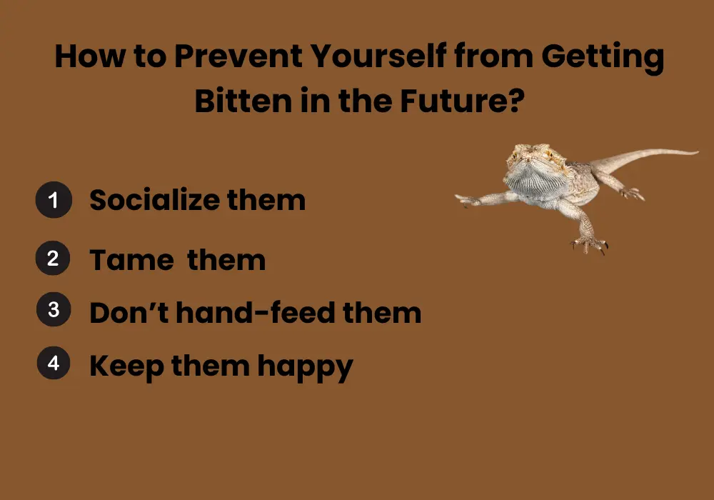 How to Prevent Yourself from Getting Bitten in the Future