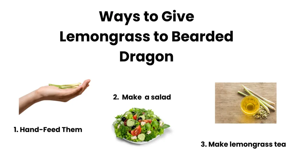 Bearded dragons can ingest lemongrass either in liquid or in smoothie form. 