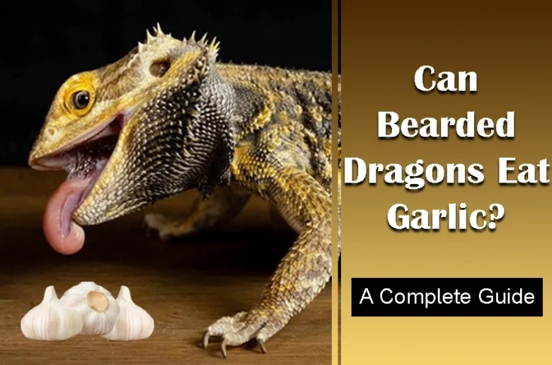 Can bearded dragons eat garlic