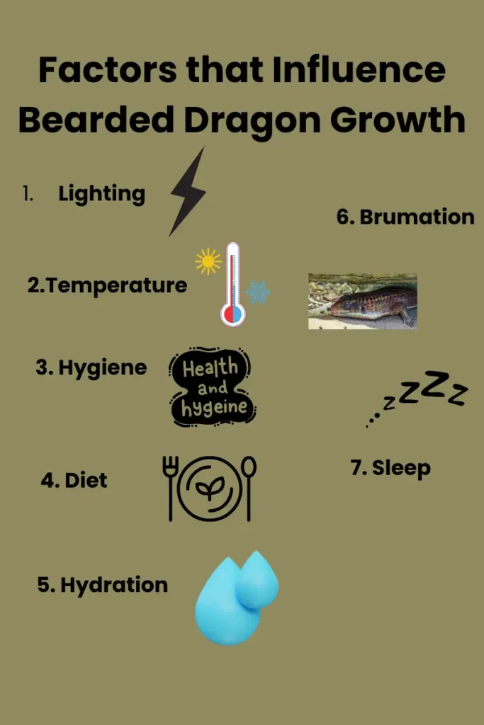 Factors that Influence Bearded Dragon Growth