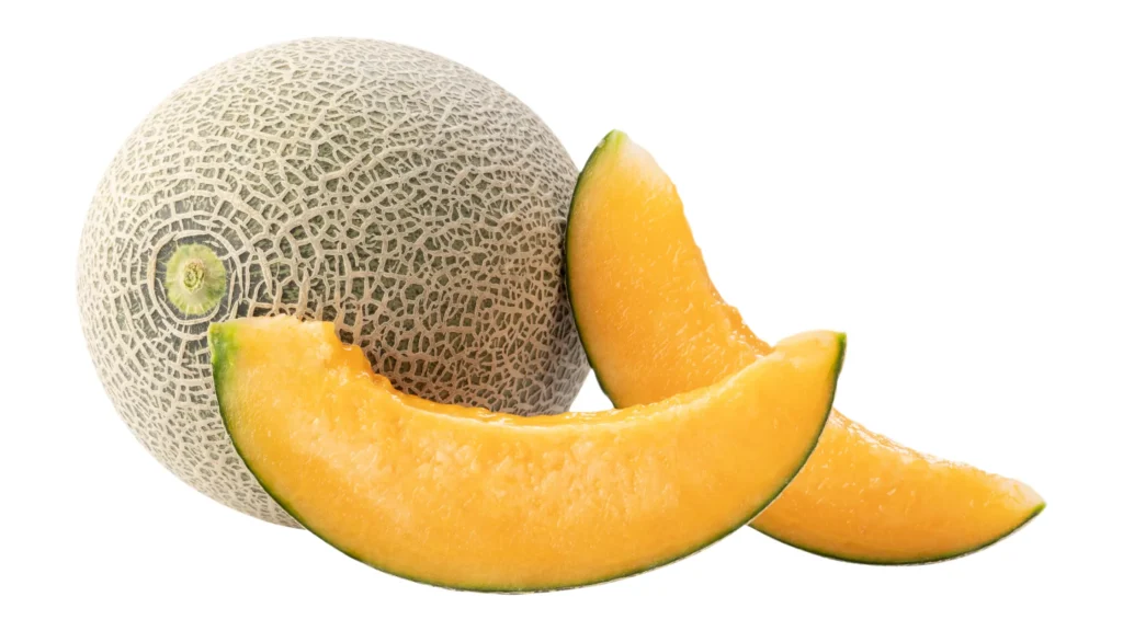 Yes, you should let bearded dragons eat cantaloupe.