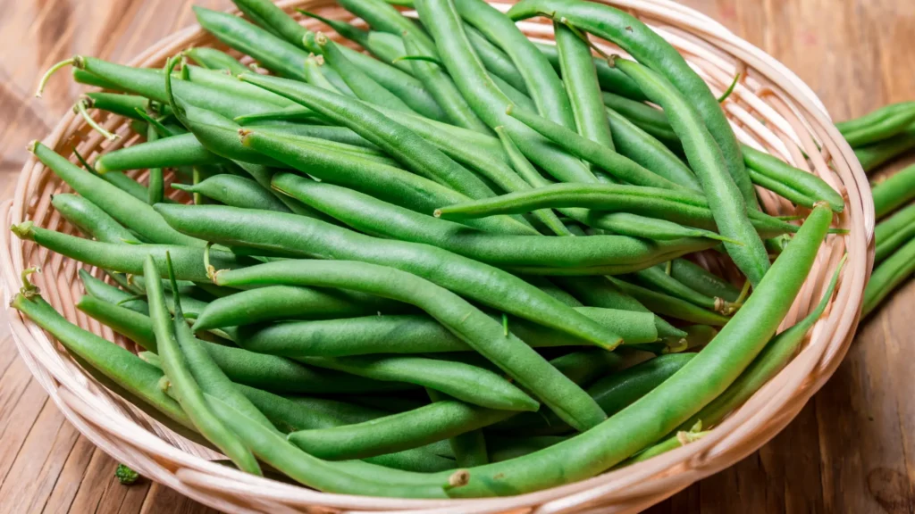 Green beans for bearded dragons